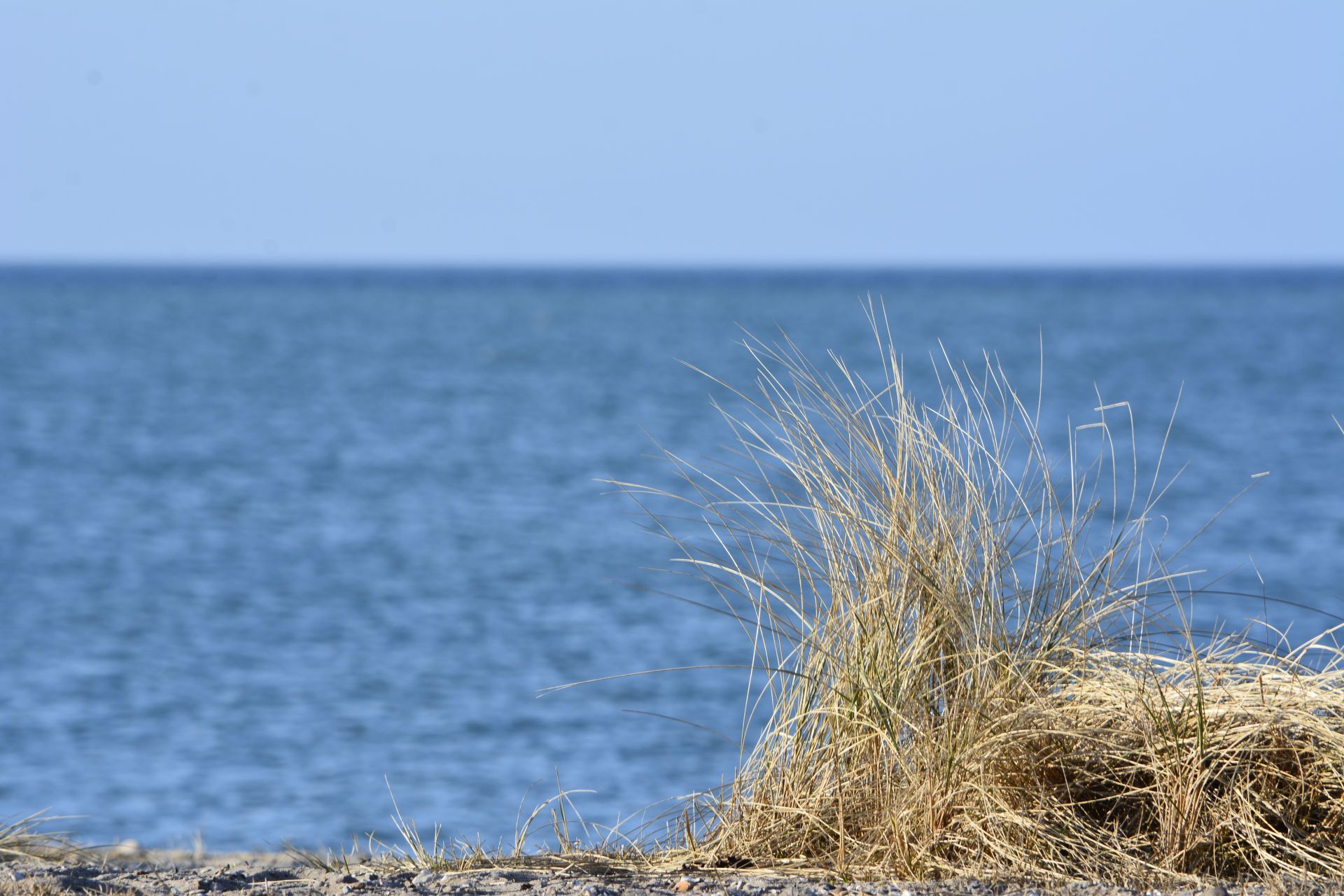 FehmarnsundBrücke Das Alles über die