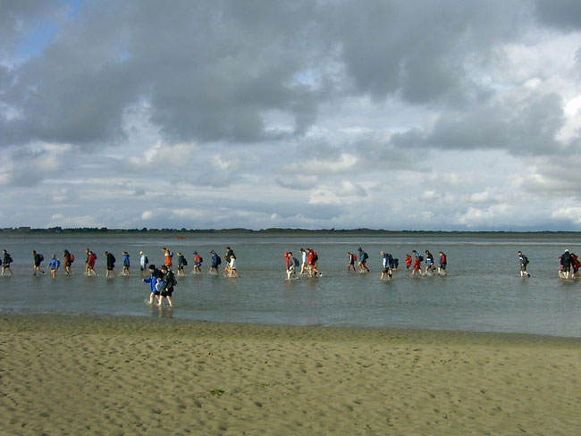 Wattwanderungen- sogar bis Baltrum möglich