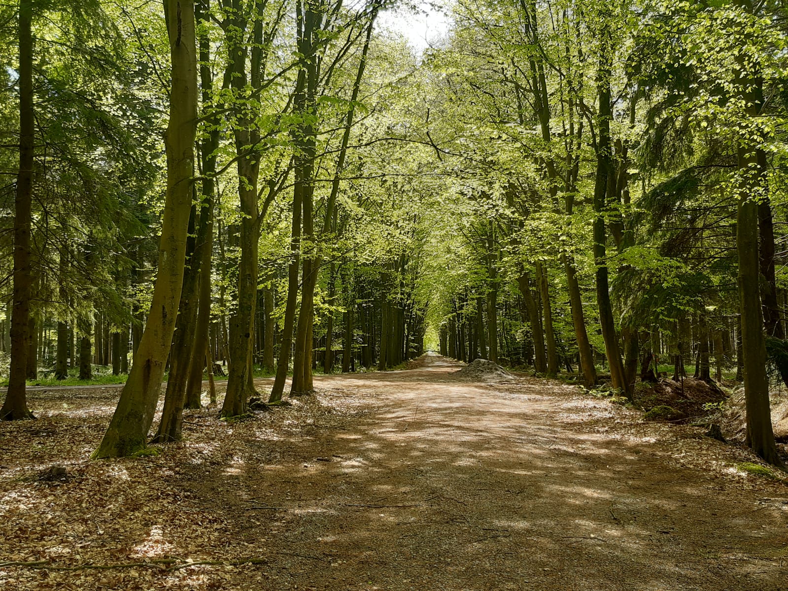 Wanderwege Schlosspark Lütetsburg