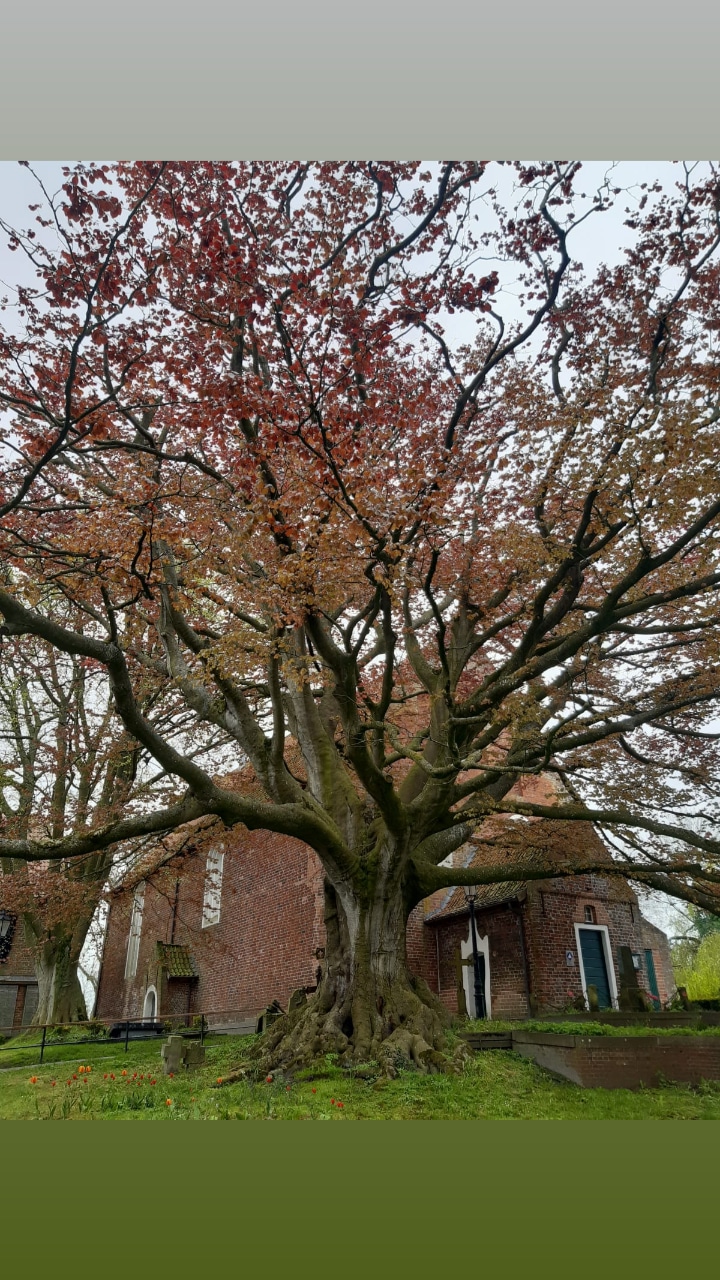 Historischer Stadtkern Dornum