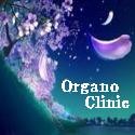 半蔵門organo-clinic☆メンズ&レディースエステ・Soft整体リフレ・アロマ・デトックス代謝セラピー・メンズエステ ☆ 東京都千代田区・半蔵門organo-clinic