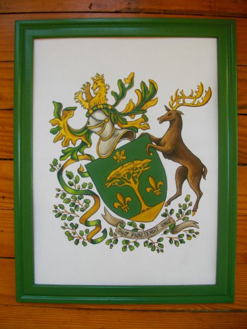 Enluminure blason de famille 30x40cm