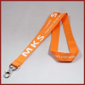 Lanyard