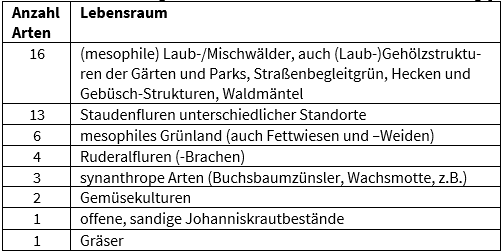 Stiftung Umwelt- und Naturschutz Schmittmann Nachtfalter NABU Düren