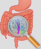 Biofilm Darm Entfernung Hausmittel