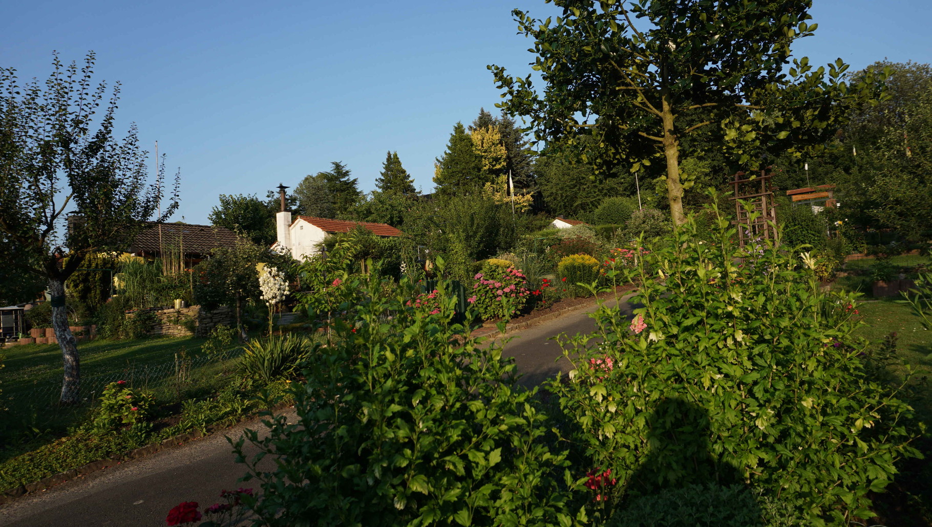 Sommer Kleingärtnerverein Grenzweg Hagen e.V.