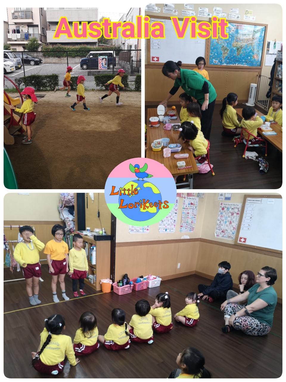 Overview of Little Lorikeets
