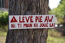 An image of a creole from the wikipedia page