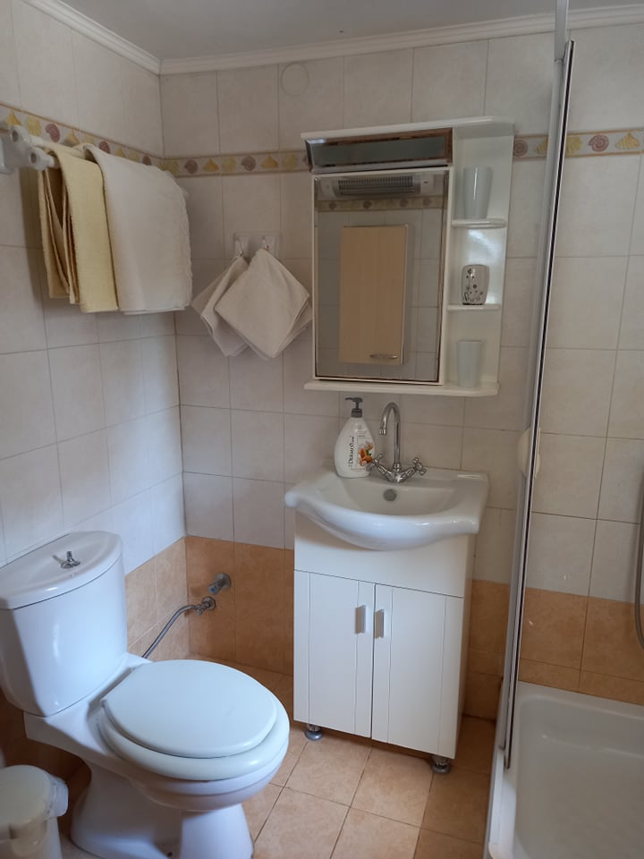 Bad WC