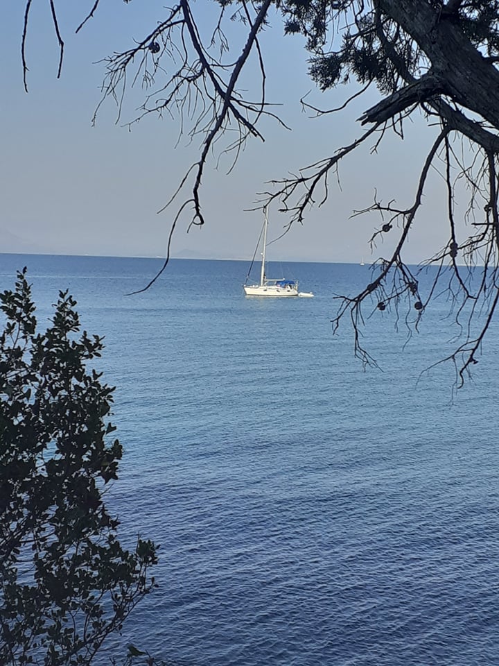 Blick aus der Terrasse 