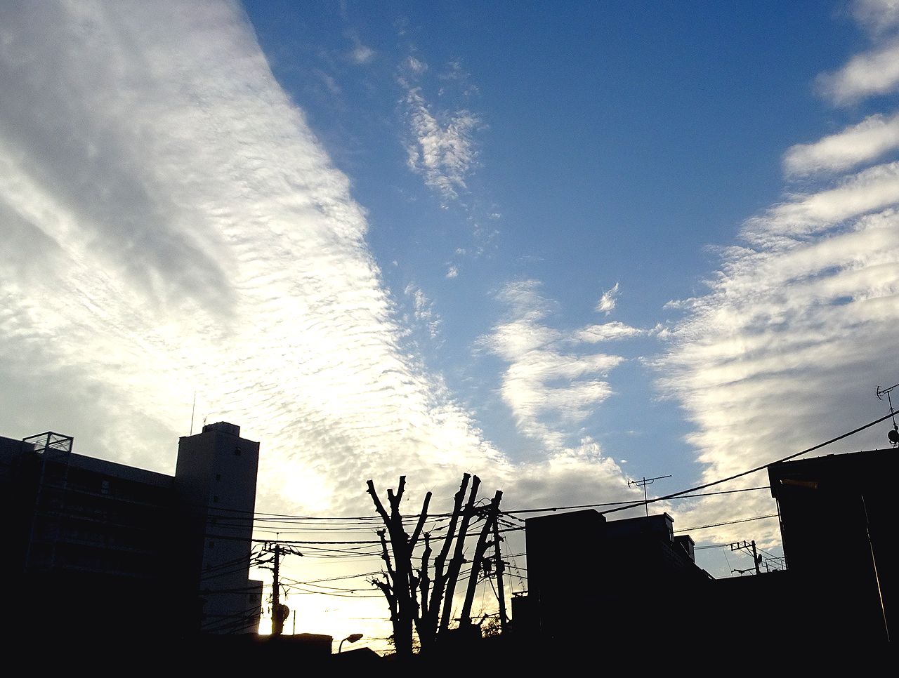 秋の空