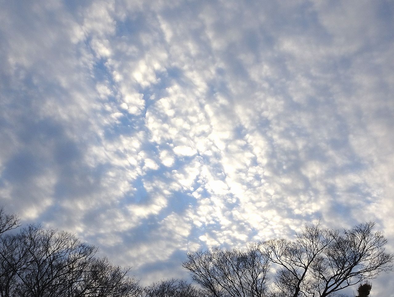 秋の空