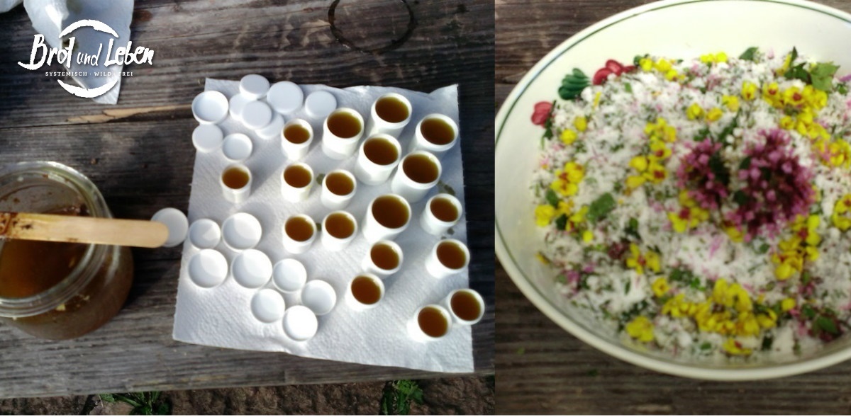 Pechsalbe und Kräutersalz