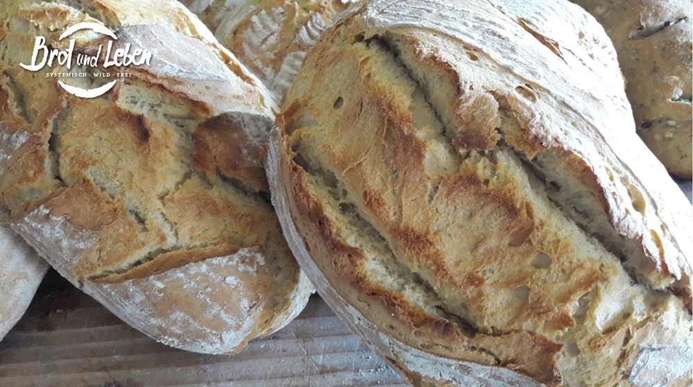 Dinkelbrot 