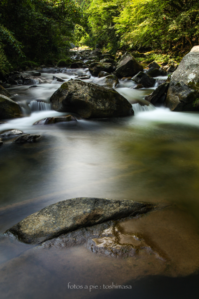 CanonEOS5Dmk2 CanonEF24-70mmF4L iso100 32mm f10 20" B photo : toshimasa