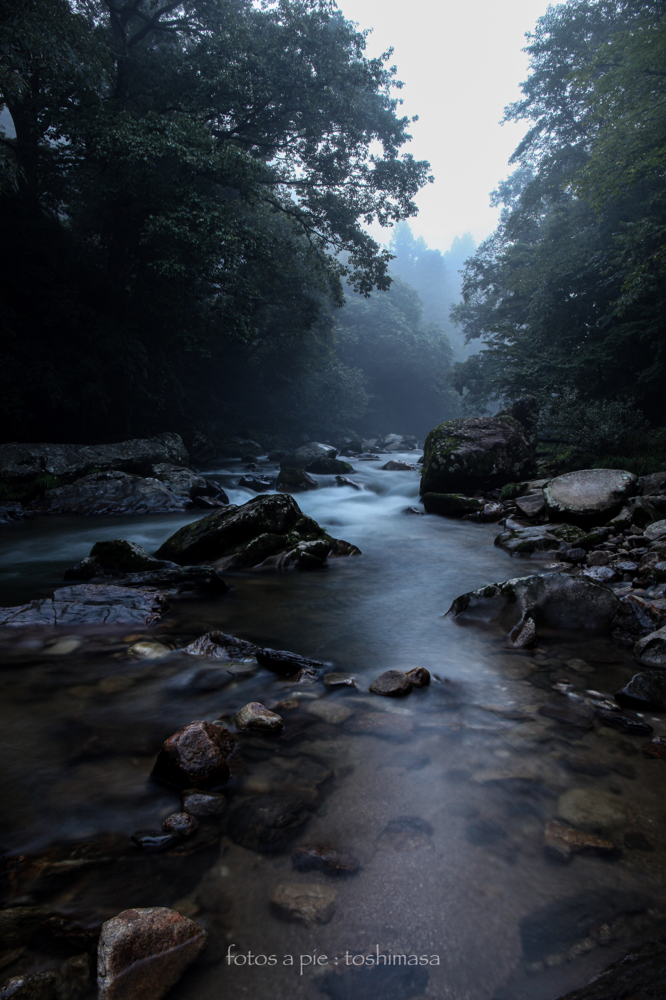 CanonEOS5Dmk2 CanonEF24-70mmF4L iso100 24mm f10 5" B photo : toshimasa