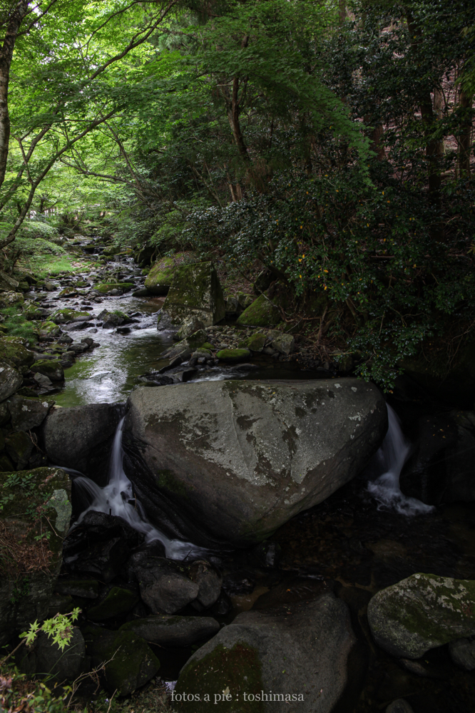 CanonEOS5Dmk2 CanonEF24-70mmF4L iso100 24mm f8 1/5" M photo : toshimasa