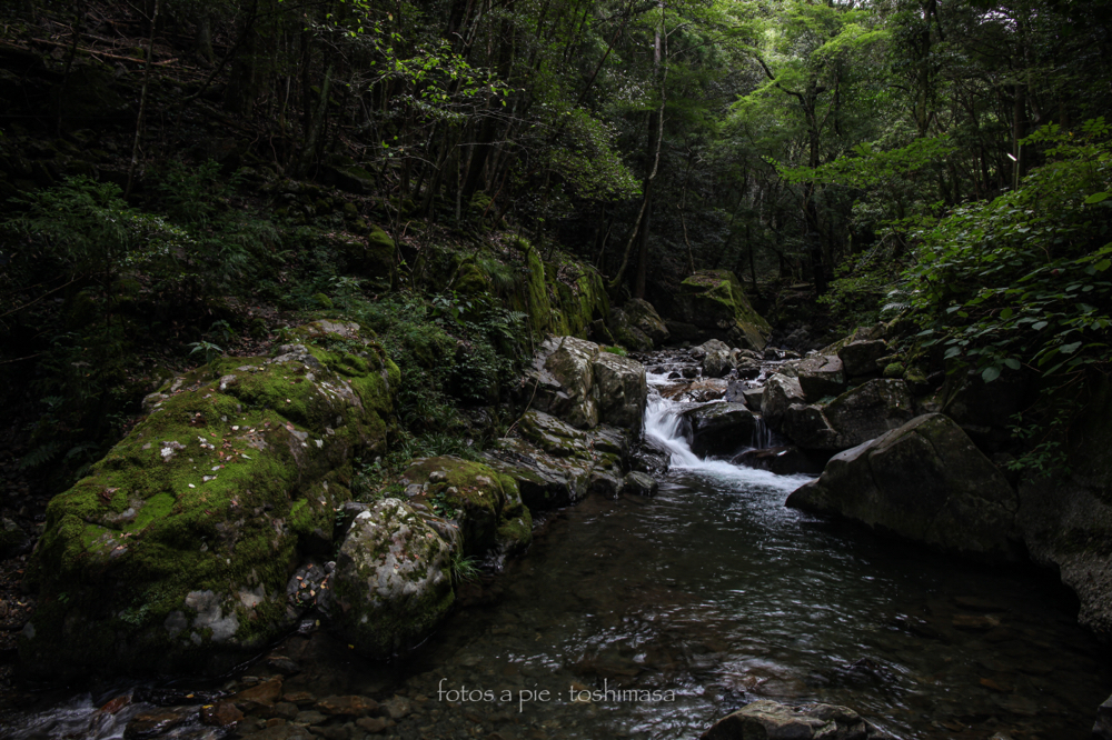 CanonEOS5Dmk2 CanonEF24-70mmF4L iso100 24mm f10 1/10 M photo : toshimasa