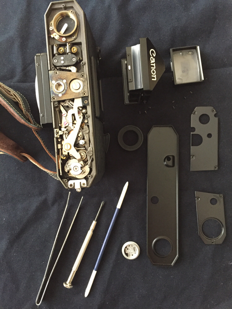 canon F-1N