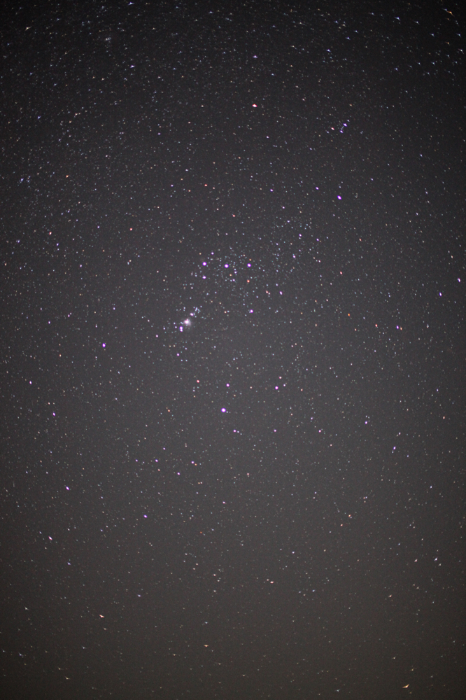 つぶて浦 CanonEOS 5Dmk2 Sigma50mmF1.4EX DG iso2500 50mm f1.4 6" photo: toshimasa