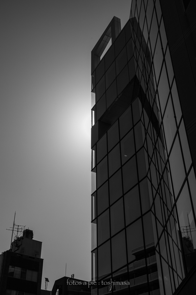 CanonEOS5Dmk2 CanonEF24-70mmF4L iso100 44mm f8 1/1000 M