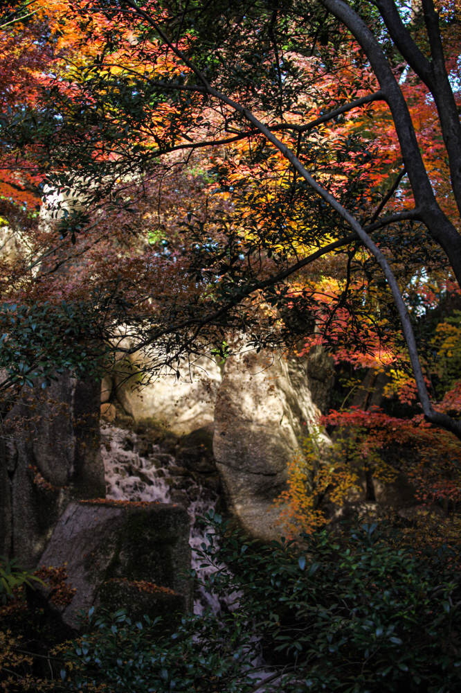 徳川園 CanonEOS 5Dmk2 CanonEF70-300mmF4-5.6L iso100 70mm f4 1/80 photo : toshimasa