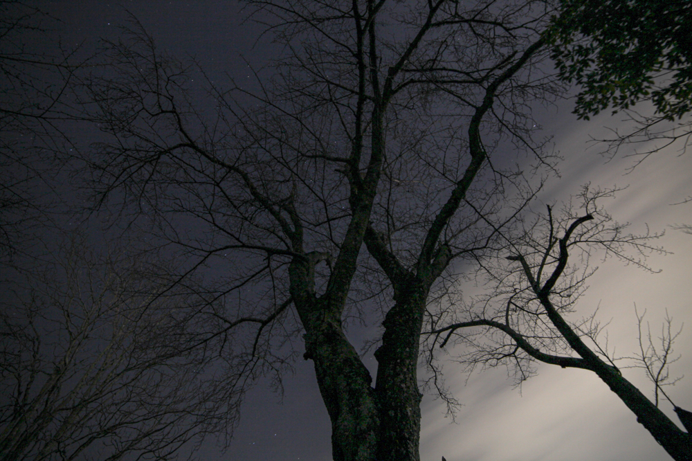 CanonEOS 5Dmk2 Samyang14mmF2.8 iso100 14mm f8 43" B photo : toshimasa