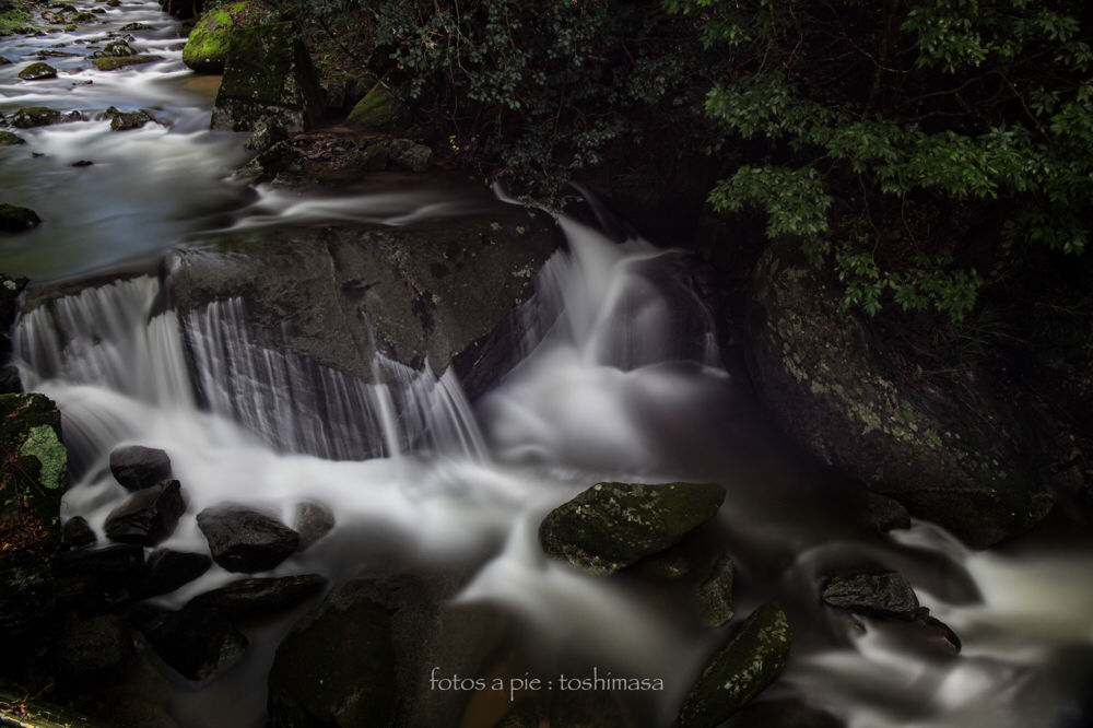 CanonEOS5Dmk2 CanonEF24-70mmF4L iso100 24mm f10 240" B NISI-ND1000 photo : toshimasa