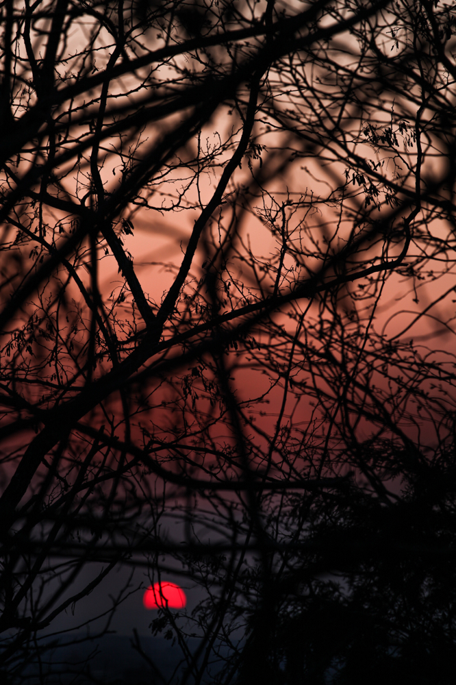 CanonEOS 5Dmk2 CanonEF70-300L iso100 229mm f10 1/80 M photo : toshimasa