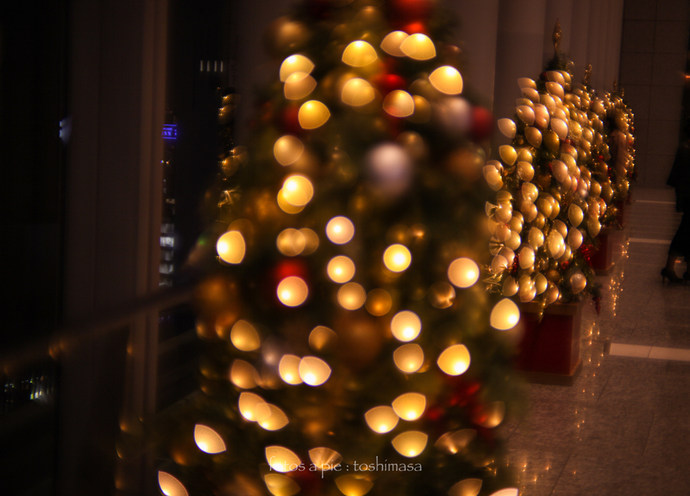 CanonEOS5Dmk2 CanonFD50mmF1.4 iso100 50mm f1.4 1/30 M