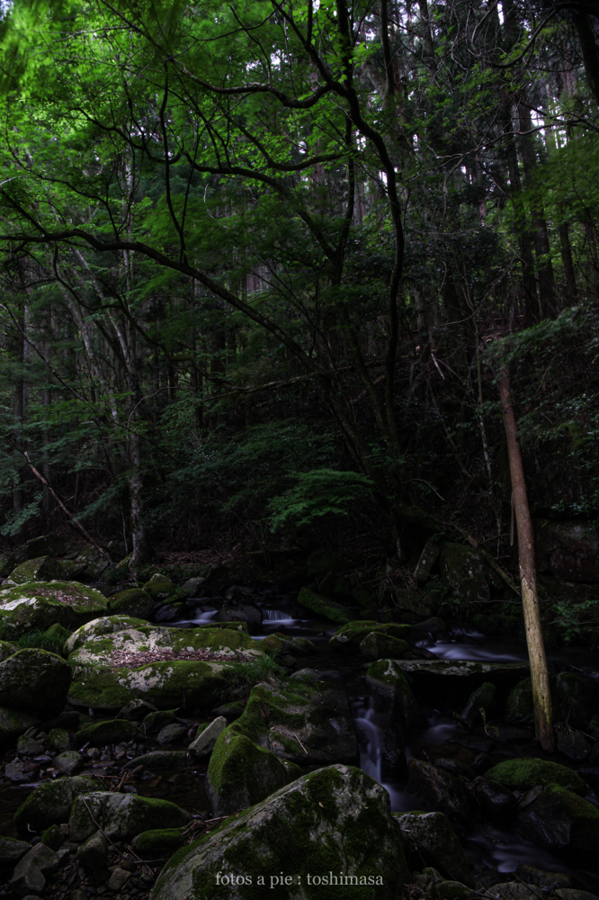CanonEOS5Dmk2 CanonEF24-70mmF4L iso100 24mm f10 200" B photo : toshimasa