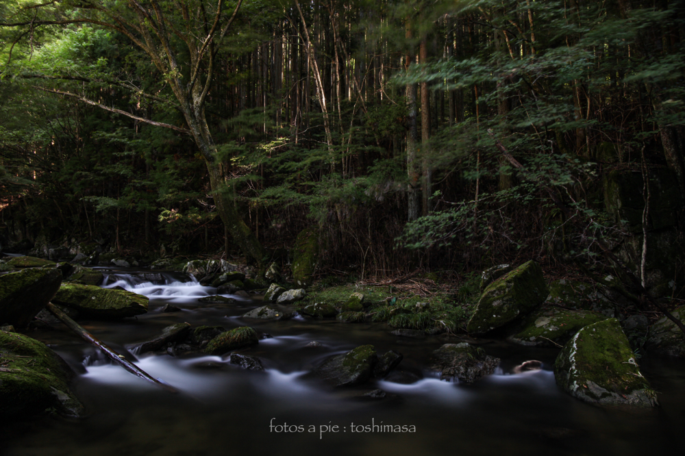 CanonEOS5Dmk2 CanonEF24-70mmF4L iso100 24mm f9 200" B NISI ND-1000