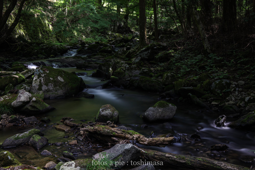 CanonEOS5Dmk2 CanonEF24-70mmF4L iso100 47mm f10 100" B photo : toshimasa