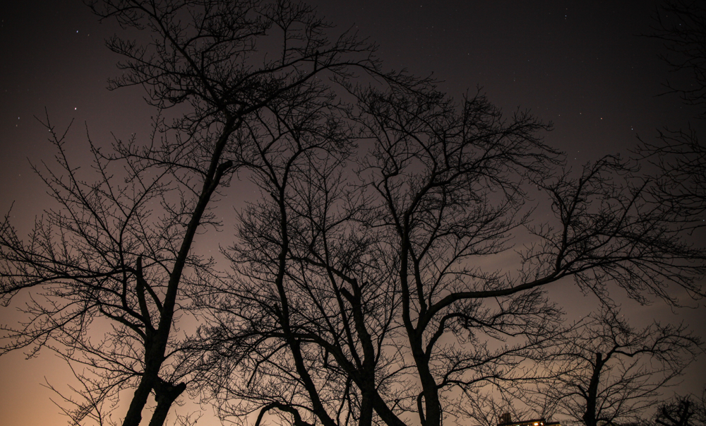 CanonEOS 5Dmk2 CanonEF24-70mmF4L iso100 24mm f10 48" M photo : toshimasa