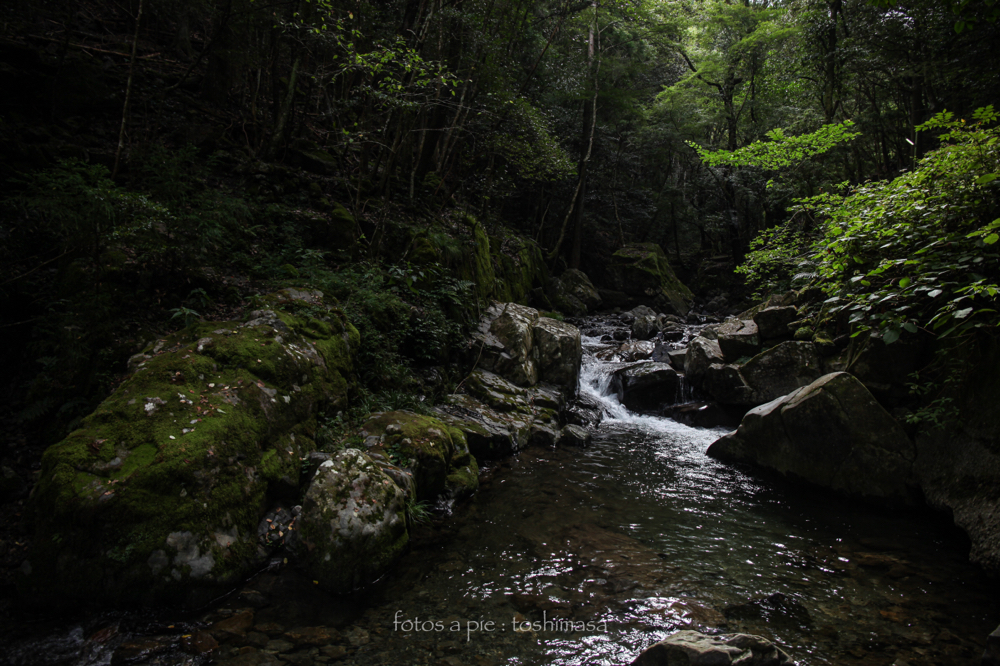 CanonEOS5Dmk2 CanonEF24-70mmF4L iso100 24mm f4 1/100 M photo : toshimasa
