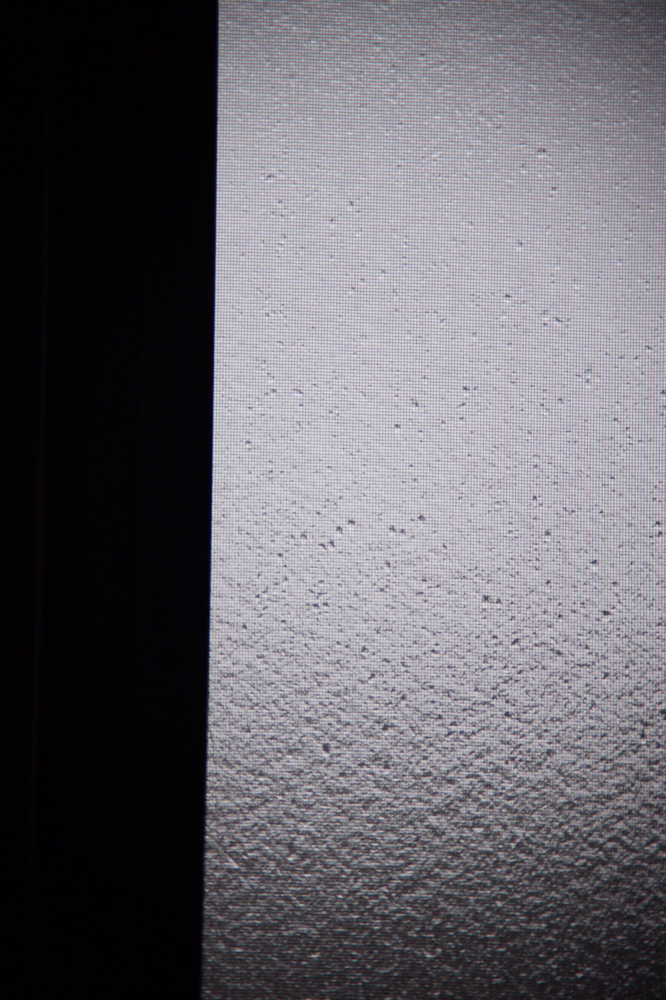 Canon5Dmk2 K&FconceptKF-FDEF FD135mmF2.5sc iso100 135mm f2.5 1/80 M photo : toshimasa