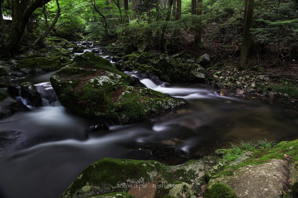 CanonEOS5Mk2 CanonEF24-70mmF4L iso100 24mm f10 250" B NISI-ND1000 photo : toshimasa