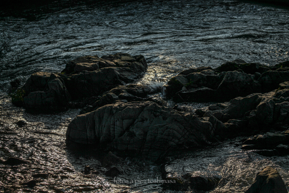 CanonEOS5Dmk2 CanonEF70-300mmF4-5.6L iso100 135mm f4.5 1/2000 M photo : toshimasa