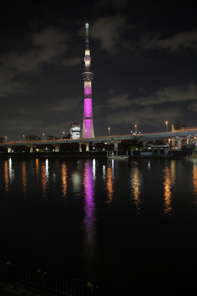 CanonEOS 5Dmk2 CanonEF24-70F4L iso100 24mm f20 4" M photo : toshimasa