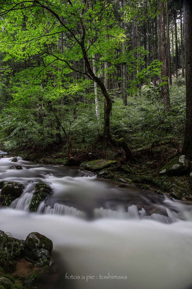 CanonEOS5Dmk2 CanonEF24-70mmF4L iso100 24mm f10 250" B NISI-ND1000 photo : toshimasa