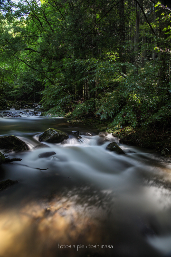 CanonEOS5Dmk2 CanonEF24-70mmF4L iso100 24mm f10 240" B NISI-ND1000 photo : toshimasa