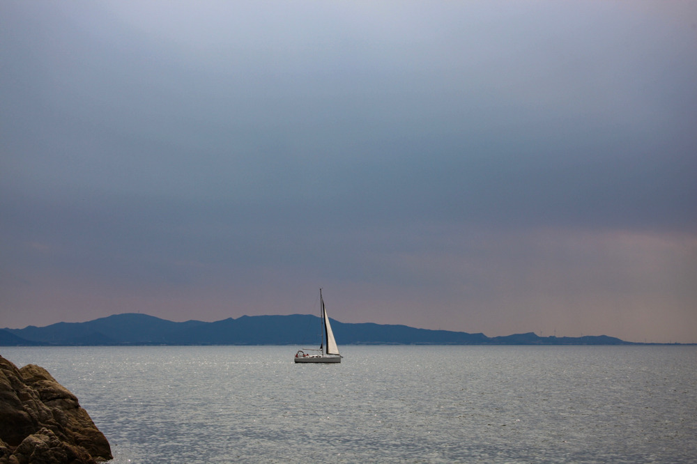 CanonEOS 5Dmk2 CanonEF70-300L iso100 93mm f6.3 1/800 Tv photo : toshimasa