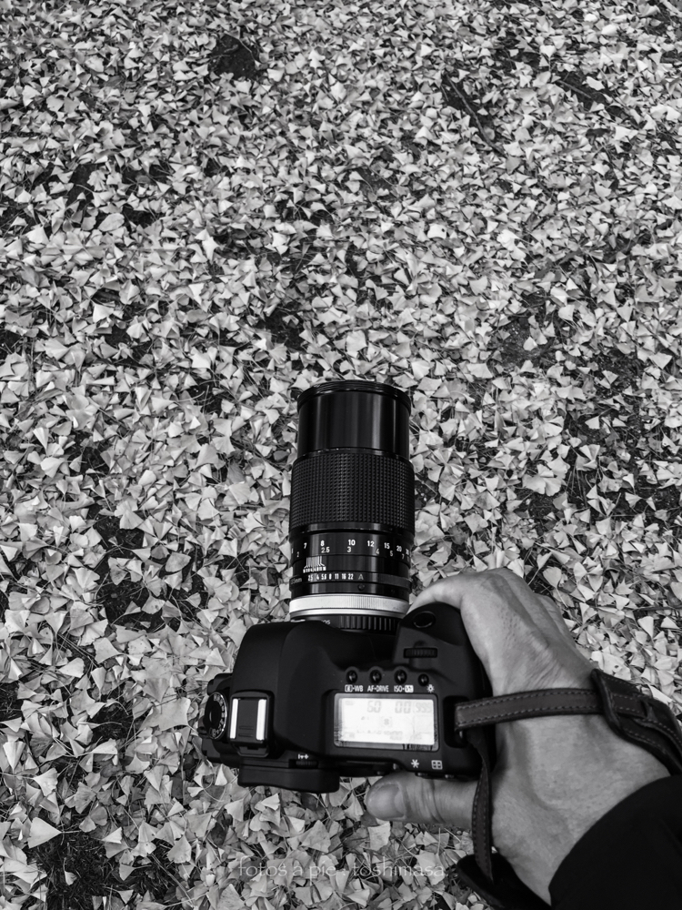 1973 CanonFD135mmF2.5s.c. & CanonEOS5Dmk2