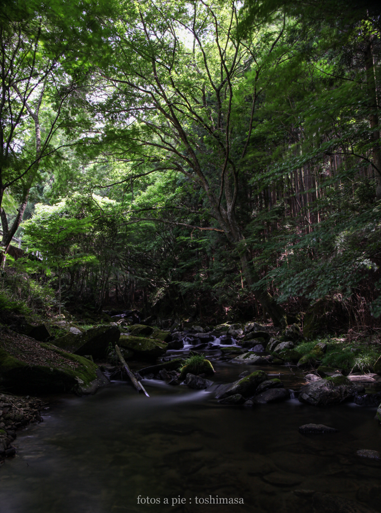 CanonEOS5Dmk2 CanonEF24-70mmF4L iso100 24mm f10 100" B photo : toshimasa