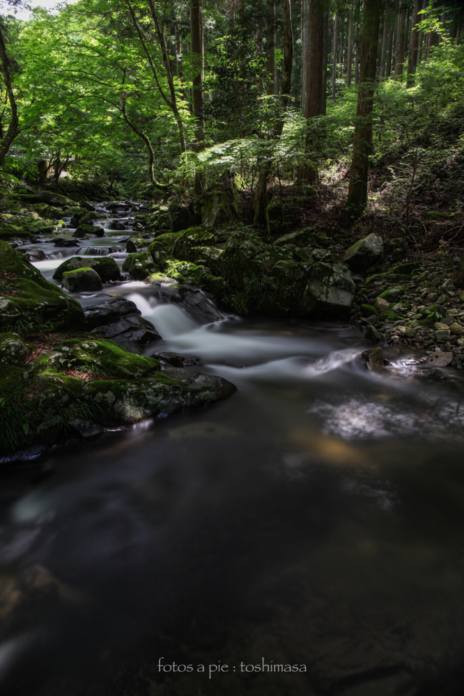 CanonEOS5Mk2 CanonEF24-70mmF4L iso100 24mm f10 210" B NISI-ND1000 photo : toshimasa