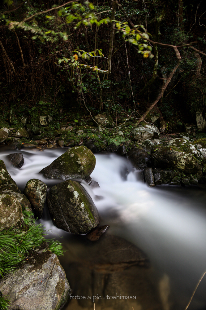 CanonEOS5Dmk2 CanonEF24-70mmF4L iso100 24mm f8 200" B NISI ND-1000