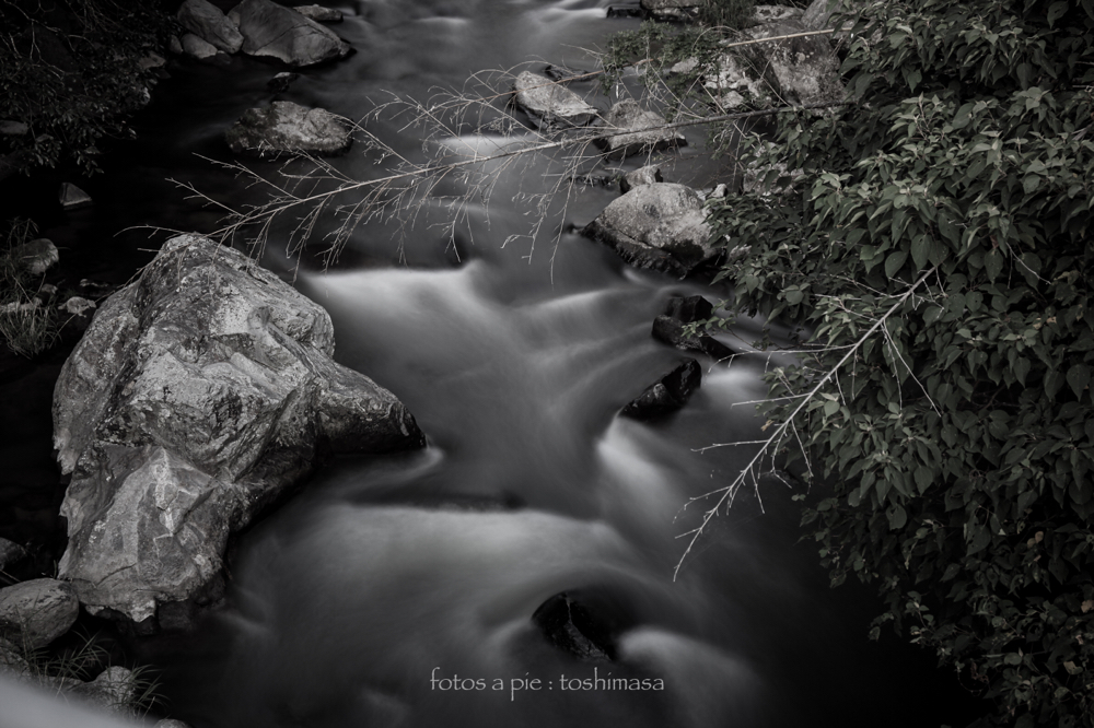 CanonEOS5Dmk2 CanonEF24-70mmF4L iso100 50mm f4 13" M photo : toshimasa