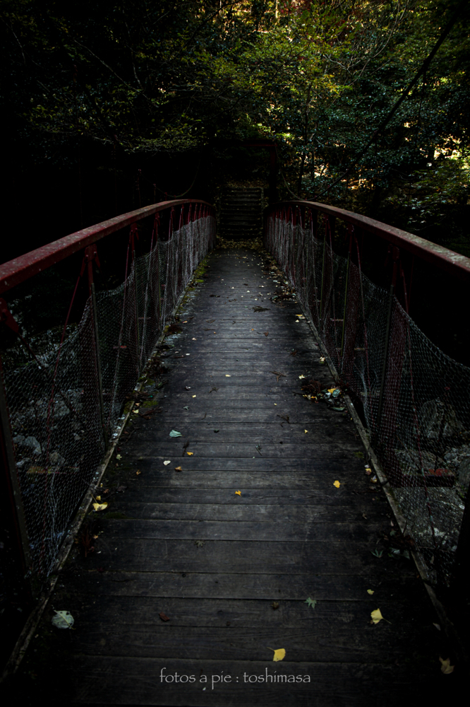 CanonEOS5Dmk2 CanonEF24-70mmF4L iso100 24mm f4 1/50 M