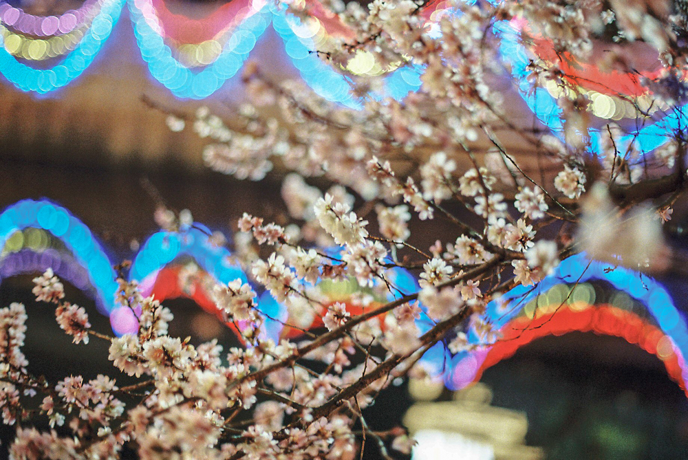 名古屋 CanonF-1n CanonFD50mmF1.4 Lomography-400 photo : toshimasa
