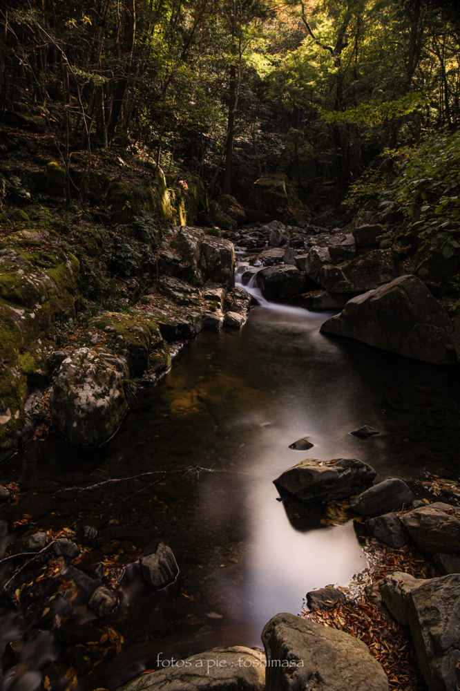 CanonEOS5Dmk2 CanonEF24-70mmF4L iso100 24mm f10 50" B NISI ND1000